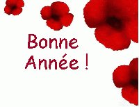 bonne_annee